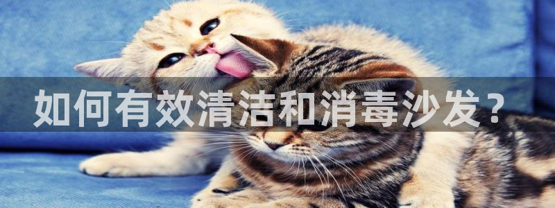 尊龙凯时v7要冲多少