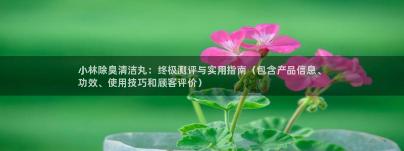 kb88凯时唯一官网注册：小林除臭清洁丸：终极测评与实用
