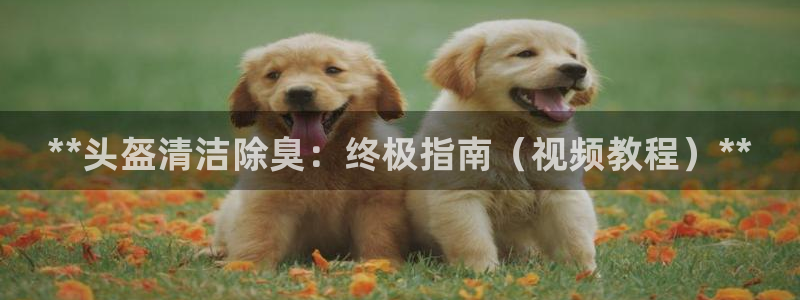 凯时官网手机版下载