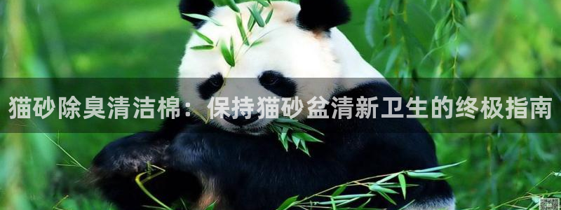 尊龙d88官网赢来就送38：猫砂除臭清洁棉：保持猫砂盆清