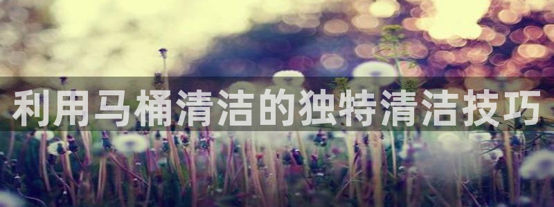 尊龙网站注册网：利用马桶清洁的独特清洁技巧