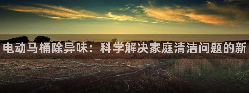 尊龙凯时d5138：电动马桶除异味：科学解决家庭清洁问题