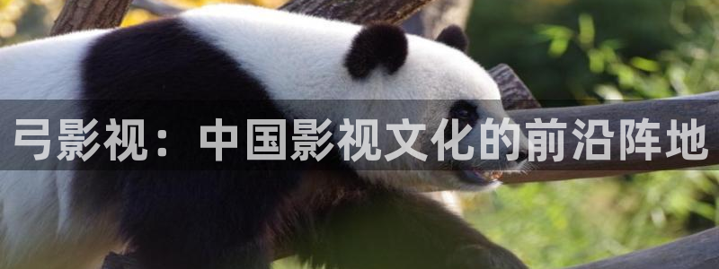 三米影视最新电视剧在线观看