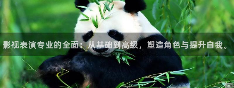 三米影视官网