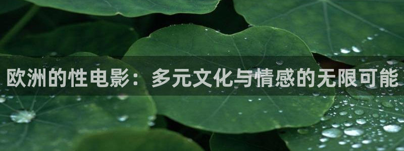 三米影视电视剧免费