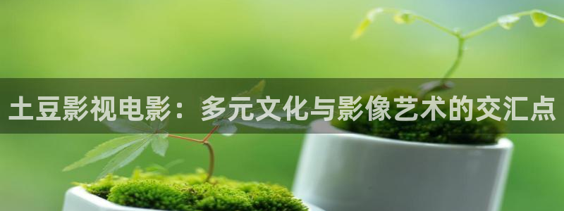 三米影视电视剧大全安家