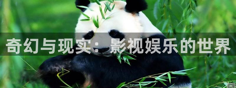 铁血玫瑰三米影视