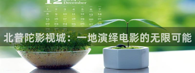 新月格格三米影视