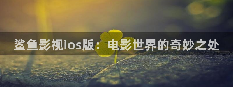电视剧大全三米影视